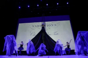 tissu aérien ; prestation artistique ; artiste cirque , monaco , Nice , Cannes