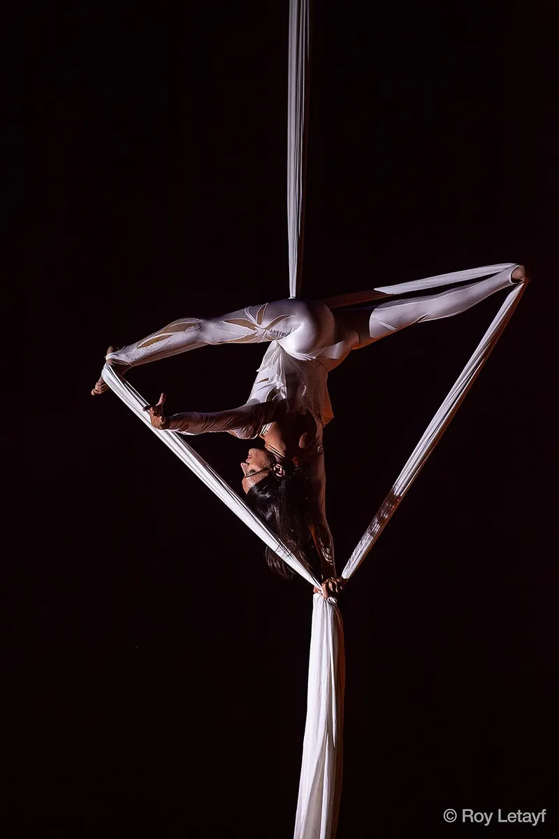 artiste cirque , événementiel , tissu aérien , prestataire artistique , Monaco