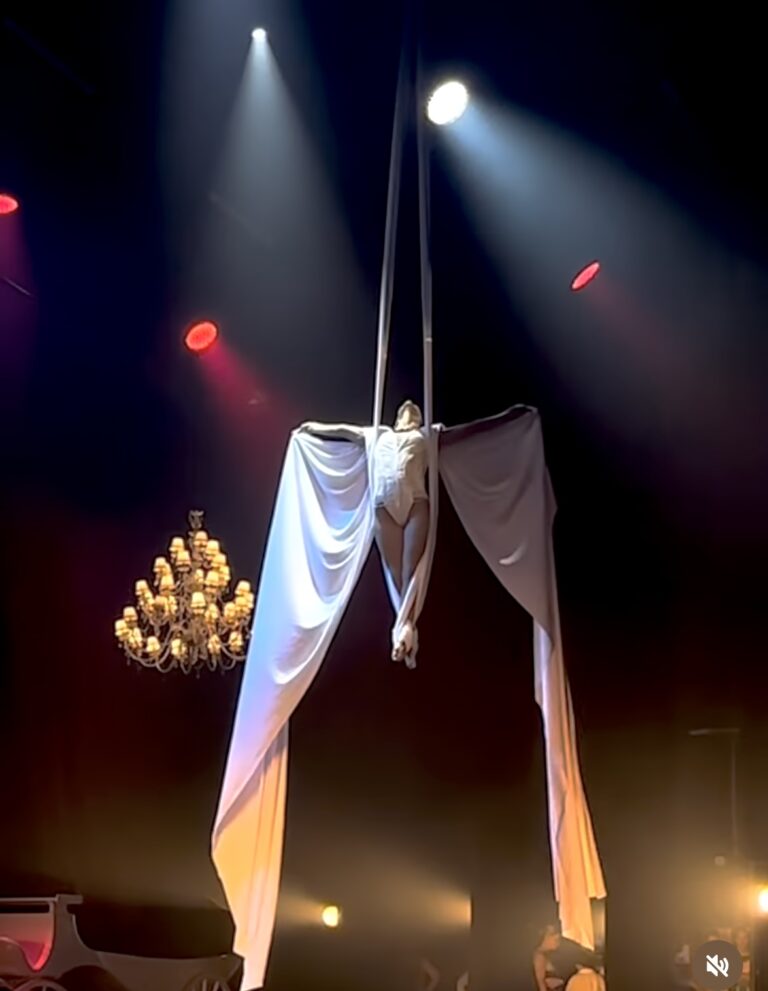Acrobaties aériennes : Sublimez votre événement avec AerialAdel