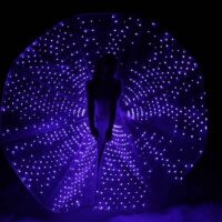 Spectacle Lumineux Show LED Performance lumineuse Performer LED