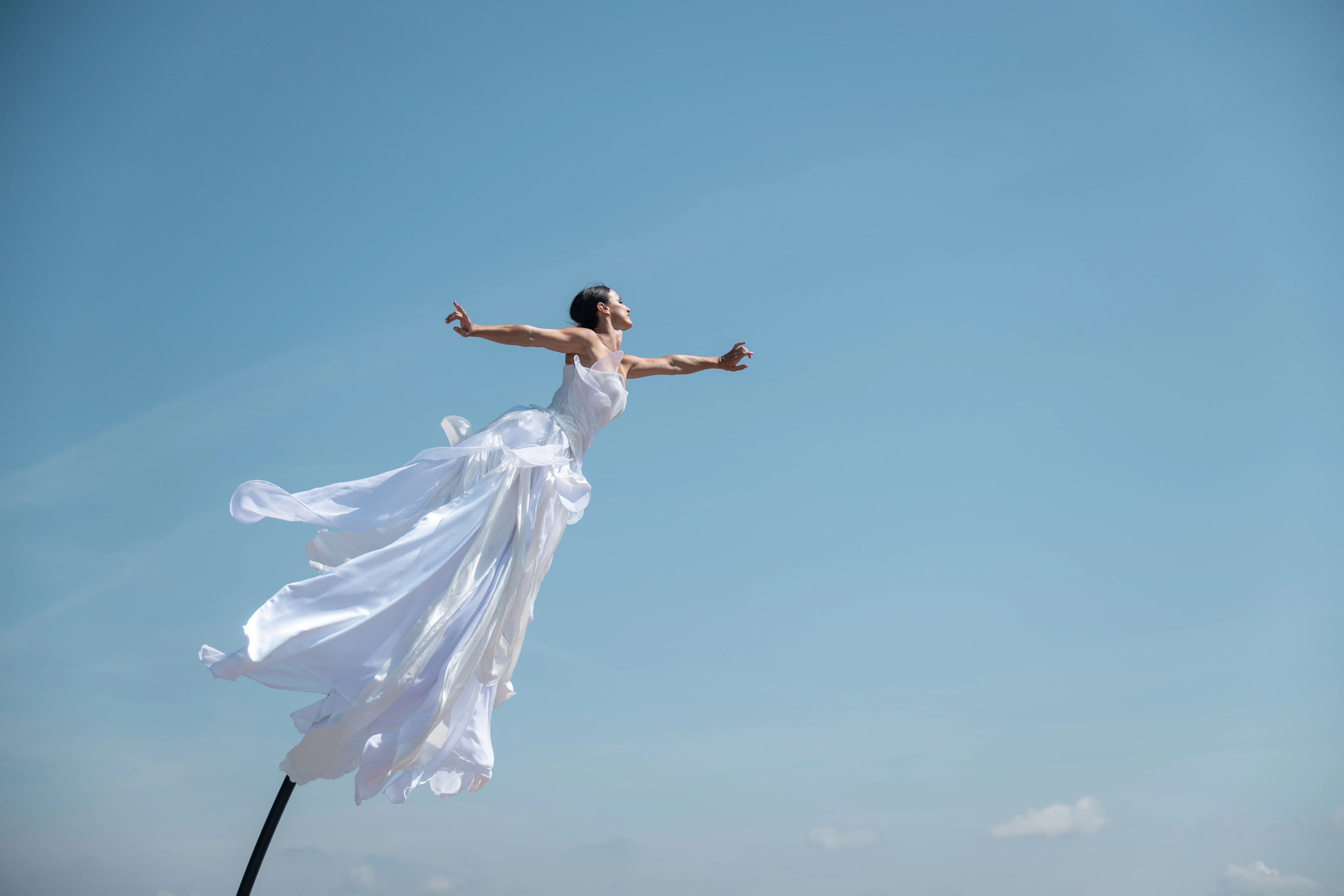Sway Pole